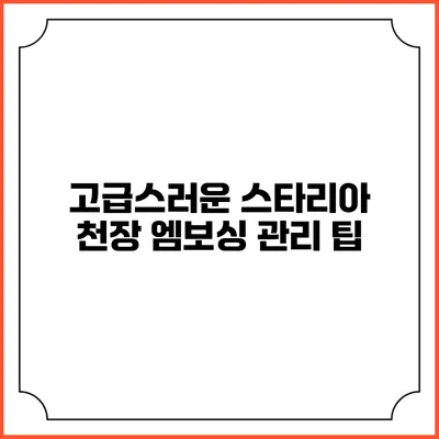 고급스러운 스타리아 천장 엠보싱 관리 팁