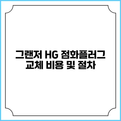 그랜저 HG 점화플러그 교체 비용 및 절차