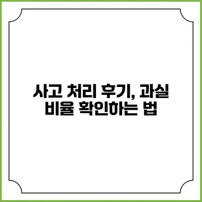 사고 처리 후기, 과실 비율 확인하는 법