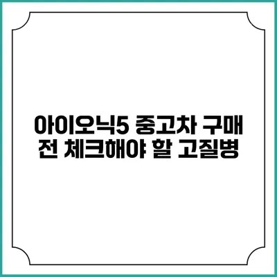 아이오닉5 중고차 구매 전 체크해야 할 고질병