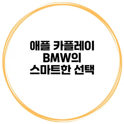 애플 카플레이 BMW의 스마트한 선택