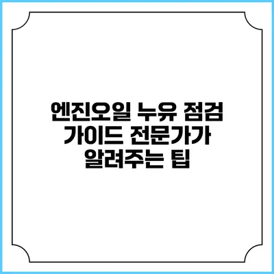 엔진오일 누유 점검 가이드 전문가가 알려주는 팁