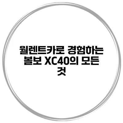 월렌트카로 경험하는 볼보 XC40의 모든 것