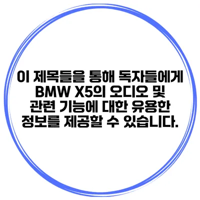 이 제목들을 통해 독자들에게 BMW X5의 오디오 및 관련 기능에 대한 유용한 정보를 제공할 수 있습니다.