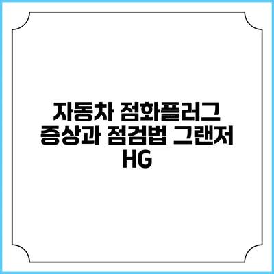 자동차 점화플러그 증상과 점검법 그랜저 HG