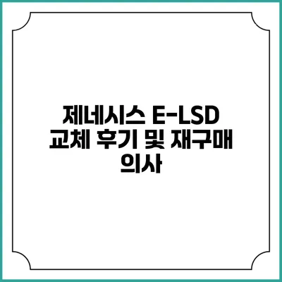 제네시스 E-LSD 교체 후기 및 재구매 의사