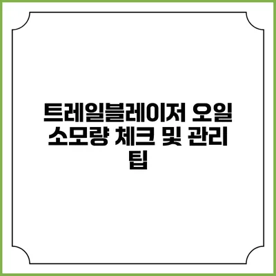 트레일블레이저 오일 소모량 체크 및 관리 팁