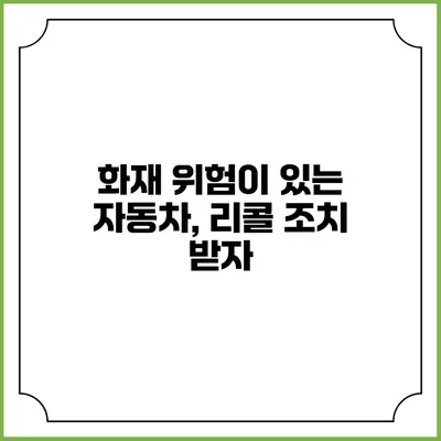 화재 위험이 있는 자동차, 리콜 조치 받자